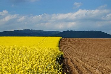 Контроль за состоянием земель сельхозназначения останется за государством